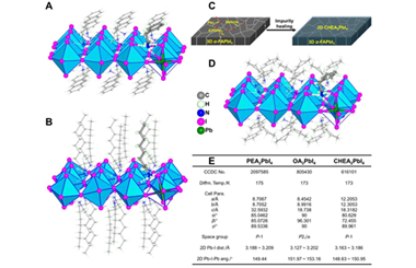 Efficient surface and interface passivation for perovskite submodules 2025.100527